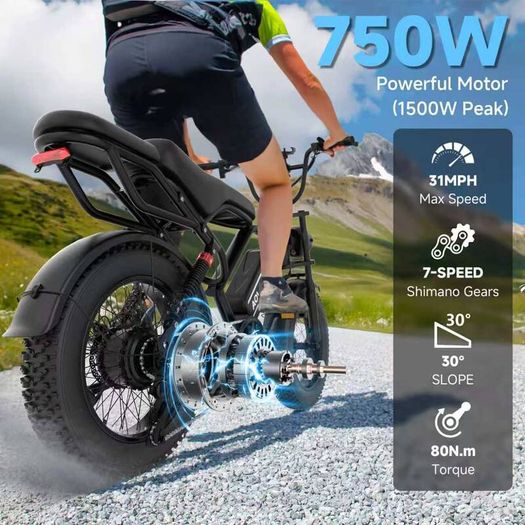 Aovopro AP20 Fat Tyre Bike