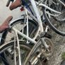 Ladies Bicycle Image 2