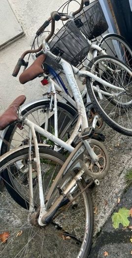 Ladies Bicycle