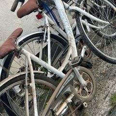Ladies Bicycle