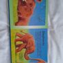 Children's 'Baby Animals Jigsaw Book' Image 4
