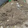 FREE top soil Image 2