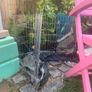 Guinea pig run cage Image 2
