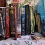 ufology, UFOs, aliens, extraterrestrials 12 book bundle Image 6