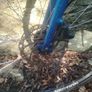 trek fx 2 Image 7