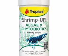 Tropical Shrimp-UP! Algae & Phytobiotics 100ml/45g