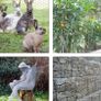 Chicken Wire Mesh Roll, PVC Coated Hexagonal Wire Mesh Fencing, Wire Poultry Netting, 1m x 50m, Hole Size: 13mm, Grey Image 4