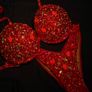 Competition Bikini Image 4