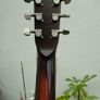 Leewald 12 fret wood resonator guitar Image 4