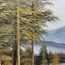 Landscape picture Image 4