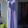 Stunning Bridemaids Dress/Veil Image 2