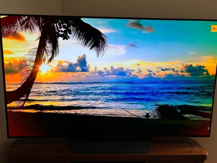 LG smart OLED tv 55 inch