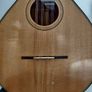 Octave Mandola and Gig Bag Image 2