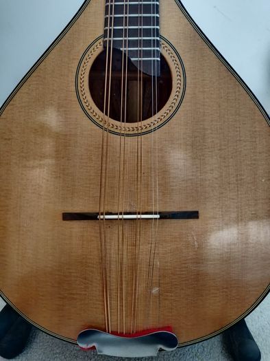 Octave Mandola and Gig Bag