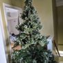 Christmas Tree Image 2