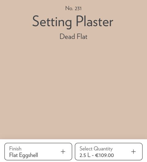 Farrow & Ball Setting Plaster Flat Eggshell 2.5L