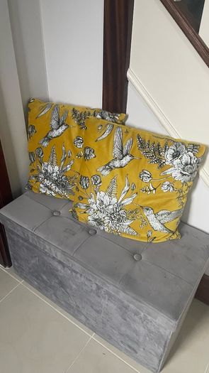 Pair Of Velvet Cushions