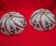 Retro glass lampshades decorated with an iris flower motif
