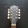 Gretsch Newyorker Mandolin Image 4
