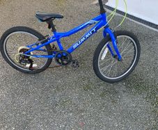 Boys Bike
