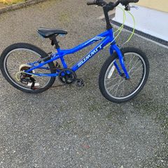 Boys Bike