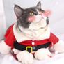 Cat Christmas Outfit, Christmas Pet Clothes Dog Cat Christmas Costume Santa Claus Pet Hoodie Coat for Small Medium Dogs Cats (M Size) Image 5