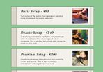 Guitar Repairs and Setups