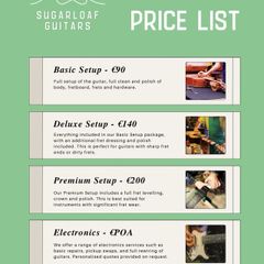 Guitar Repairs and Setups