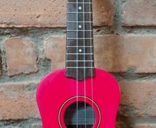 Tanglewood Ukulele & Bag
