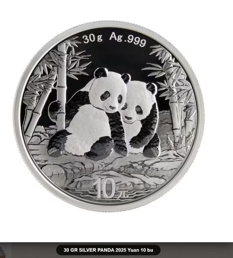 2026 China 10 Yuan 30 Gram Silver Bullion Coin - Panda BU (In Capsule)