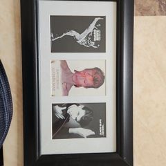 Bowie Framed Picture 19" x 11"