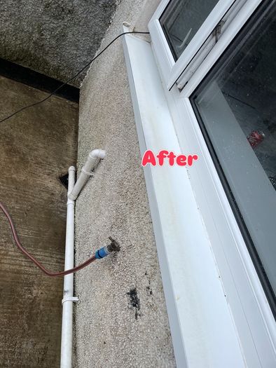 Gardening and maintenance and diy