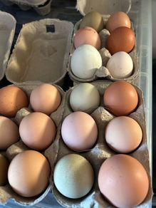 Hen Eggs