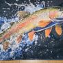 Trout 3D mat fishing Image 2