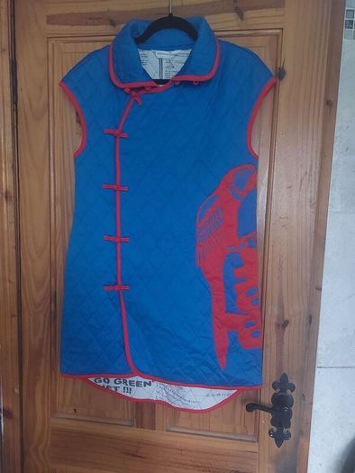 Awakening label oriental mini dress/top (free post)