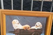 Super Cute Large Picture