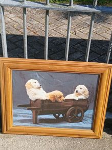 Super Cute Large Picture