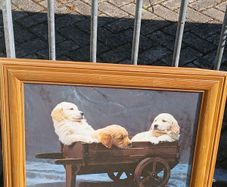 Super Cute Large Picture