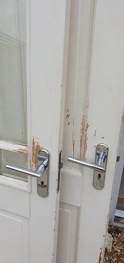 Pine doors