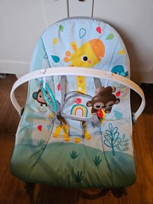 Baby to Toddler Rocker