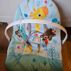 Baby to Toddler Rocker