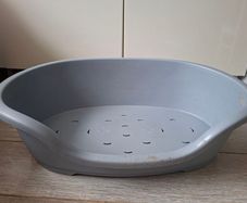 Free dog bed