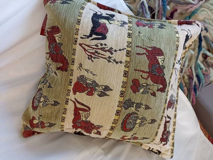 Cushion