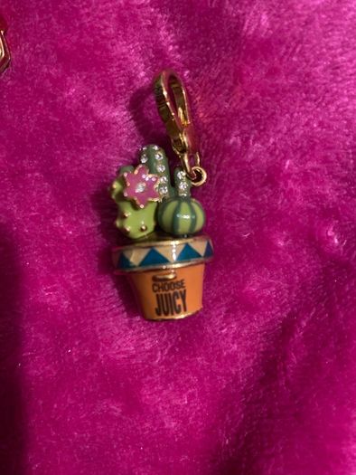 Juicy couture cactus charm