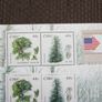 Irish Native Trees 2006,Two Minature Sheets.Inc Washington 2006 stamp Exhibition Overprint.MNH. Image 2
