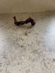 bottle opener