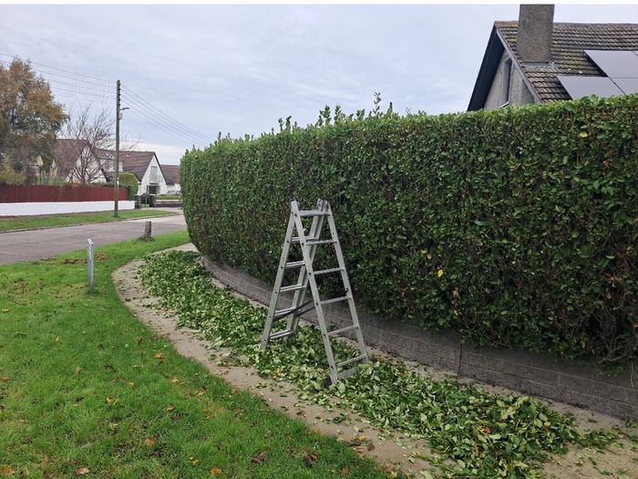 Landscaping