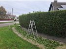 Landscaping Image 4