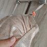 Rose gold bikini top size 34 Image 3