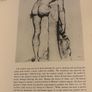 collectible art book of Matisse by Nicholas Watkins 1984 Image 6
